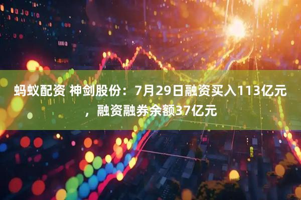 蚂蚁配资 神剑股份：7月29日融资买入113亿元，融资融券余额37亿元